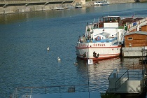 cruise_po_vltave.jpg