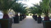 Отель Savoy Westend, Карловы Вары