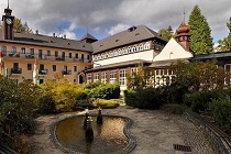 Велке Лосины